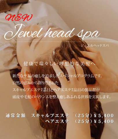 top_cam02_2